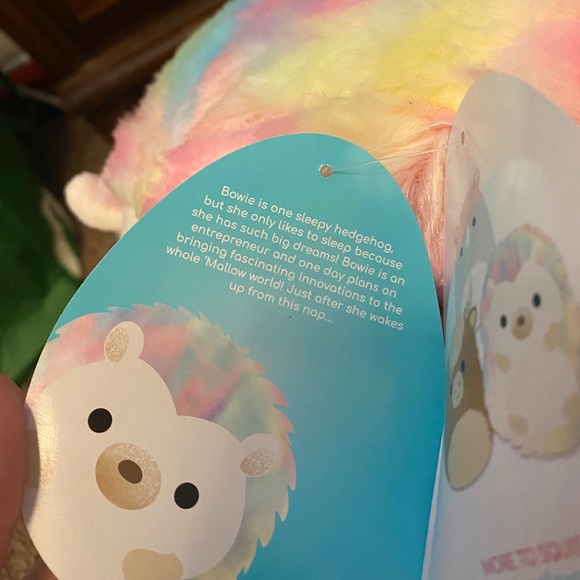 Bowie The Rainbow Hedgehog Squishmallow 